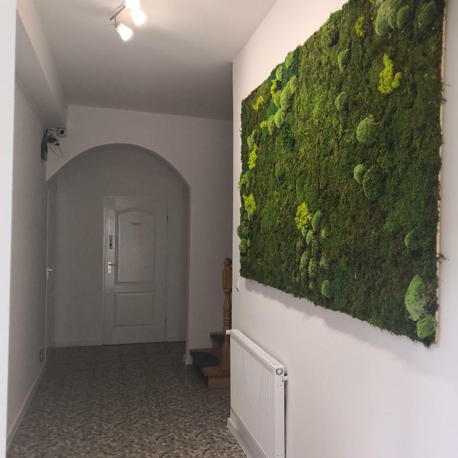 Las Dwa Trzy Ośno Lubuskie Extérieur photo